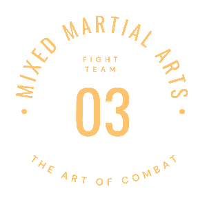 03 Fight Team