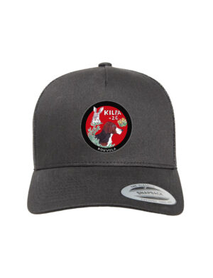 Kilpa26 - Baseball trucker